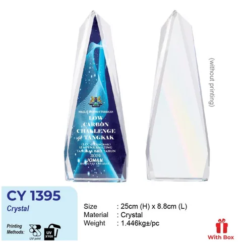CY 1395