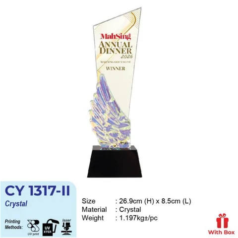 CY 1317-II