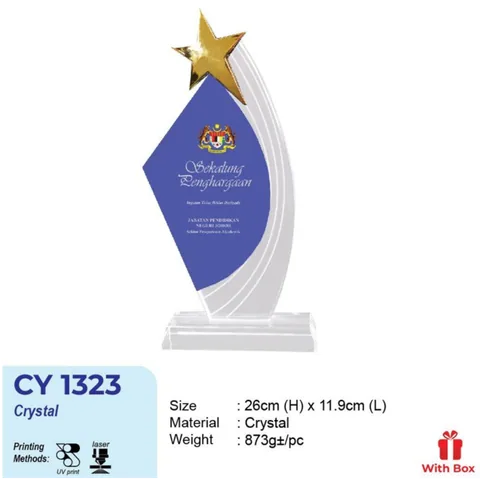 CY 1323