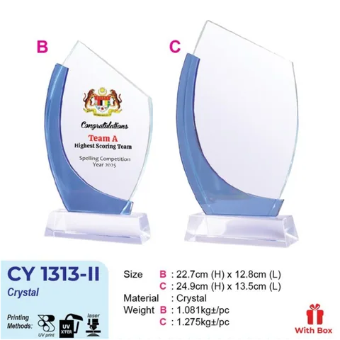 CY 1313-II