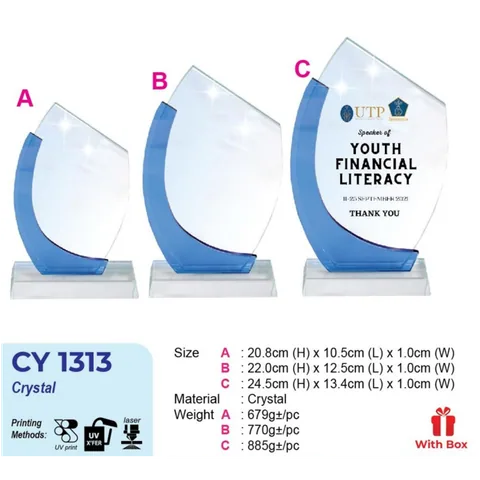 CY 1313