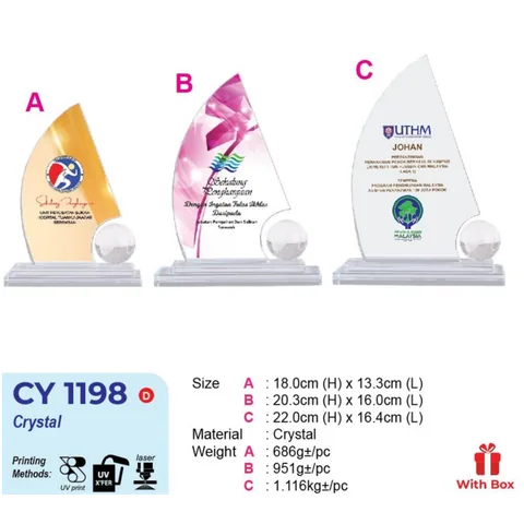 CY 1198