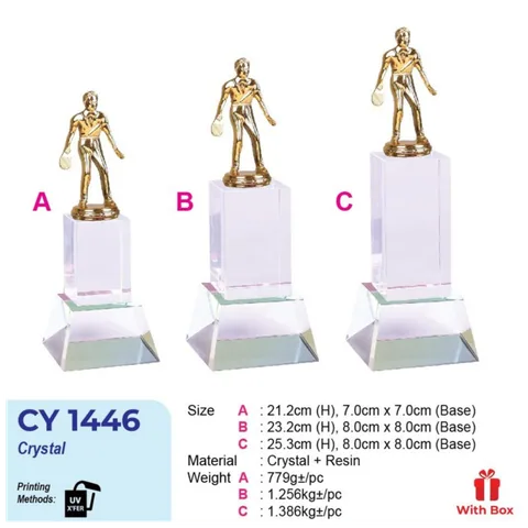 CY 1446