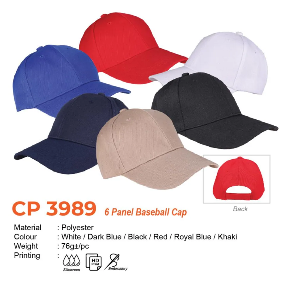 CP 3989 (6 Panel Baseball Cap)