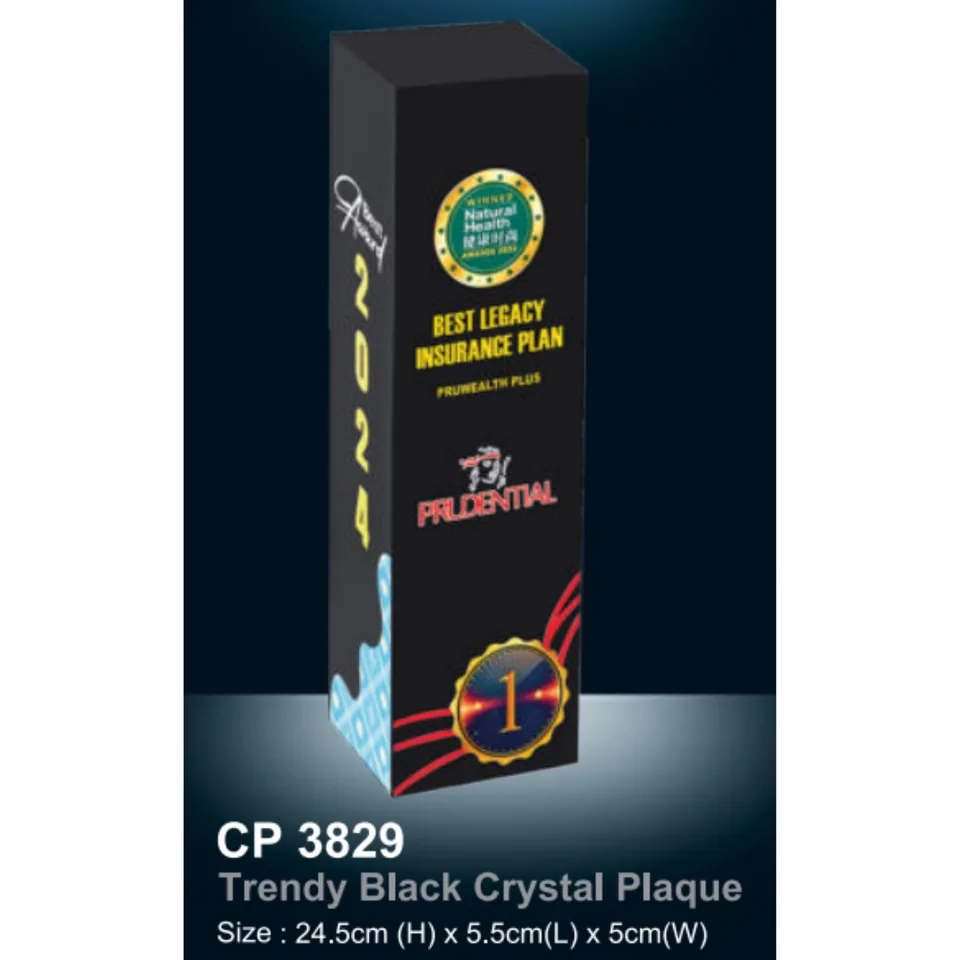 Trendy Black Crystal Plaque