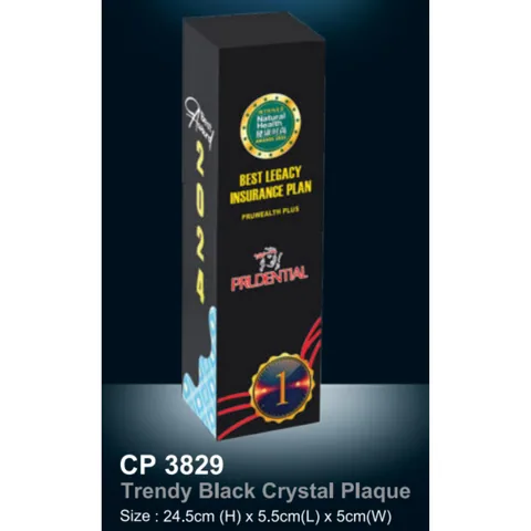 Trendy Black Crystal Plaque