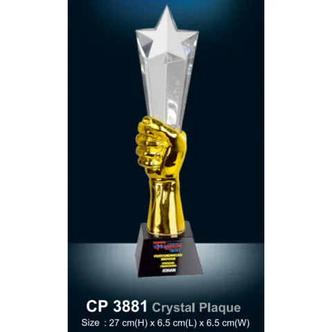 Cystal Plaque