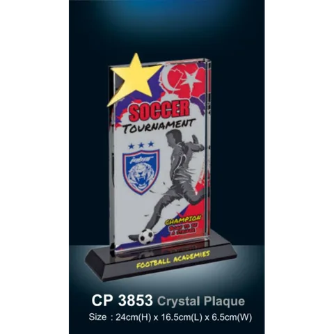 Crystal Plaque