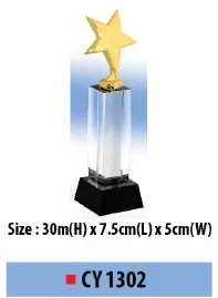 Custom Velvet, Trophies, and Medals 2