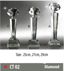 Custom Velvet, Trophies, and Medals 94