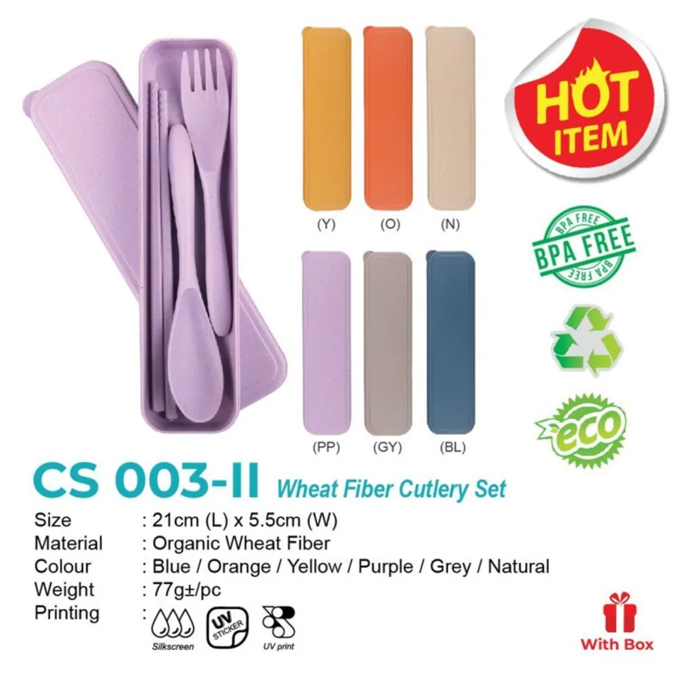 CS 003-II
