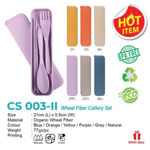 CS 003-II