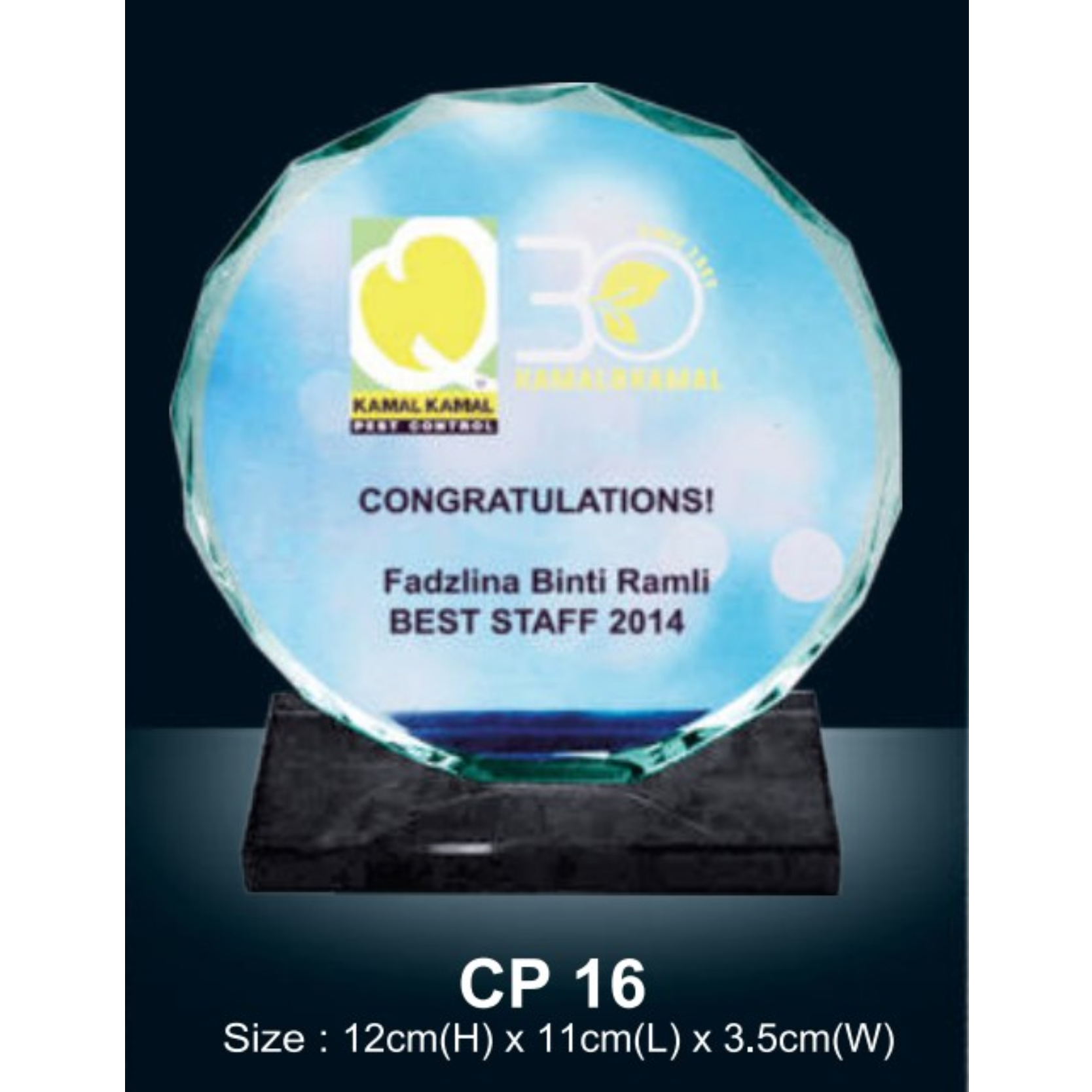 Crystal Plaque