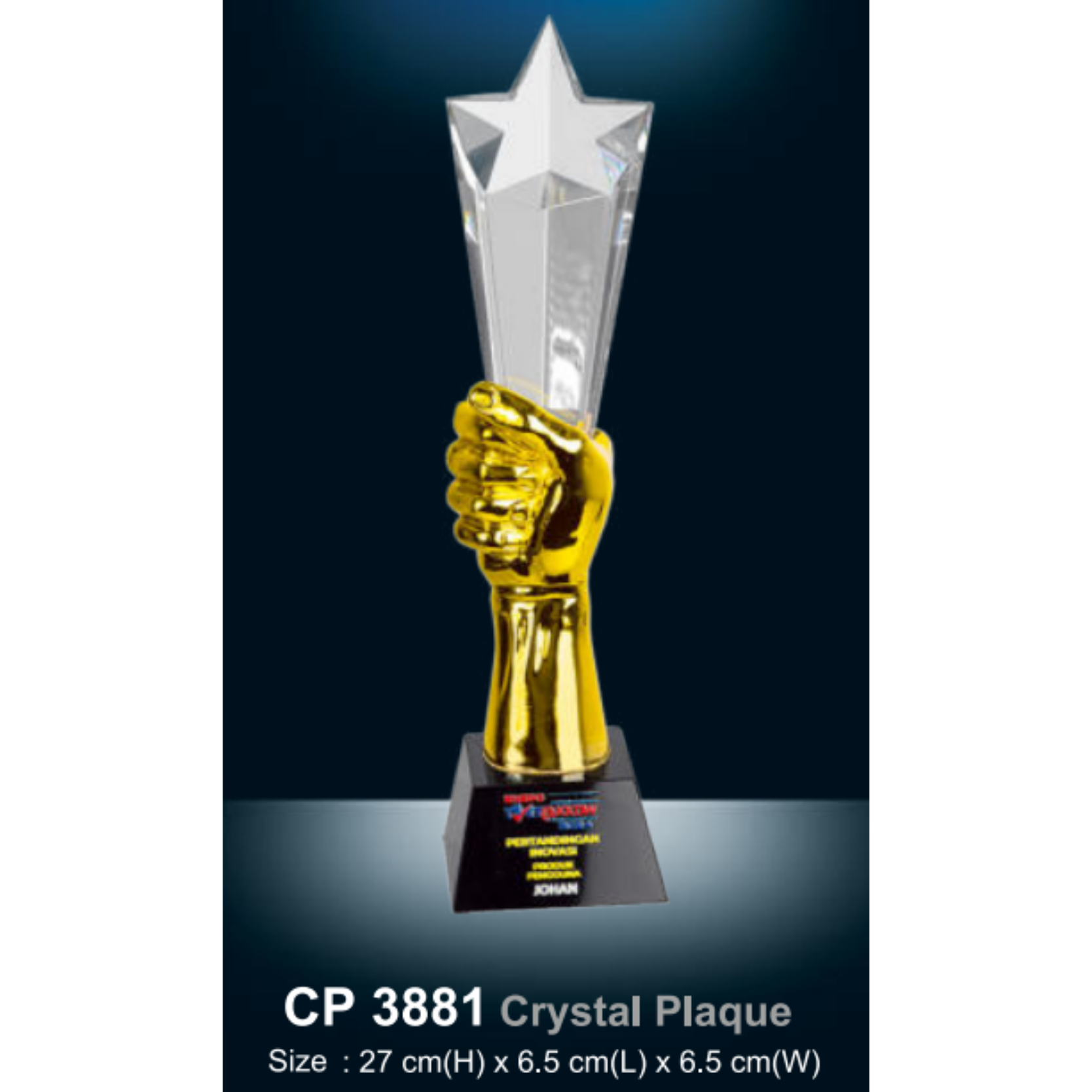 Cystal Plaque
