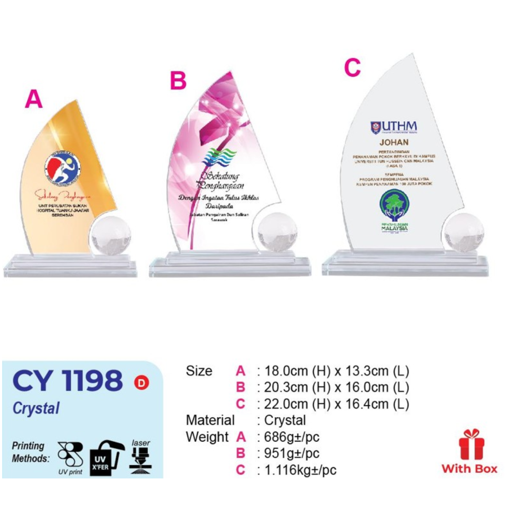CY 1198